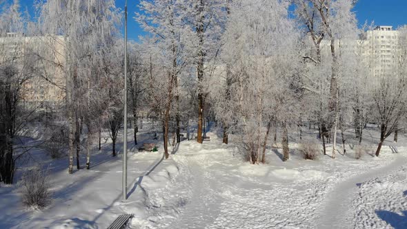 Snow Covered City Park in Winter and Moscow, Russia