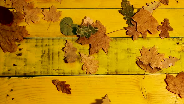 Golden Autumn Background With Foliage. Beautiful Autumn Background On Boards With Foliage.