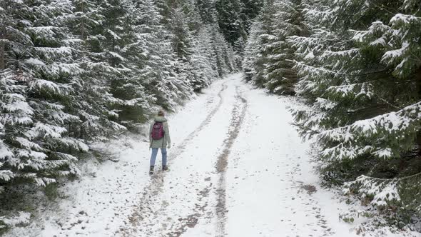Woman walking in winter forest