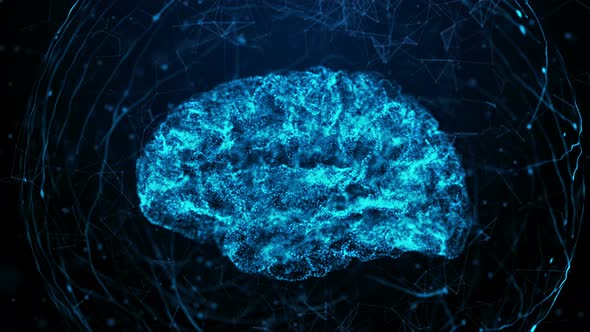 Human Brain in Bule Digital Background