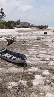 Tanzania  Vertical Video of Low Tide in the Ocean Near the Coast of Zanzibar Slow Motion alt