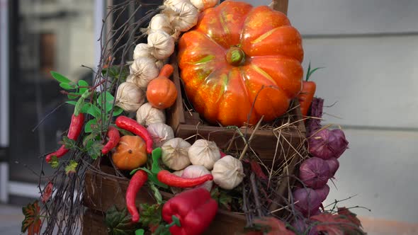 Plastic Pumpkin, Vegetable Closeup Pan Background Outdoor in Autumn Afternoon  alt