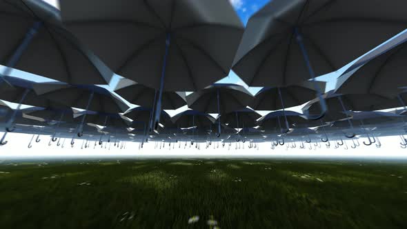 Decorative Black Umbrellas alt