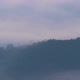 Fog Flowing Over Forest - VideoHive Item for Sale