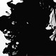 Black And White Fluid Motion 2 - VideoHive Item for Sale