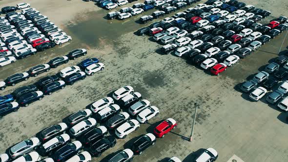 Car Dealer Parking Lot with Many Brand New Cars. alt