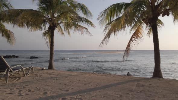 Tropical relax at the tropical island alt