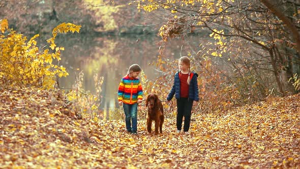 Two little sister girls are walking in the autumn Park with an Irish setter dog.
