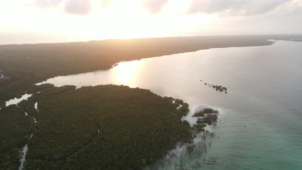 Thickets on the Coast of the Island of Zanzibar Tanzania Slow Motion alt
