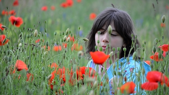 Little Girl Gather a Bouquet of Poppies 01