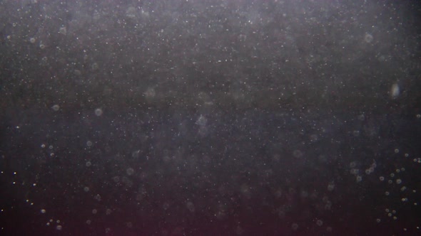 underwater particles