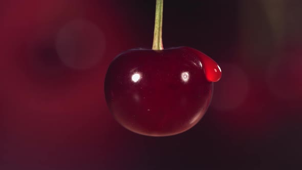Juice Drop Falling From Fresh Cherry in Dark Red Background in Slow Motion alt