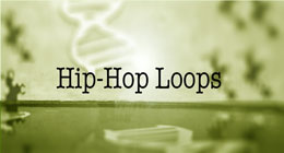 Hip-Hop Loops