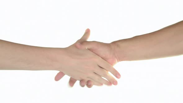 Handshake Over White Background