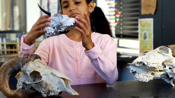 Girl examining animal skeleton 4k alt