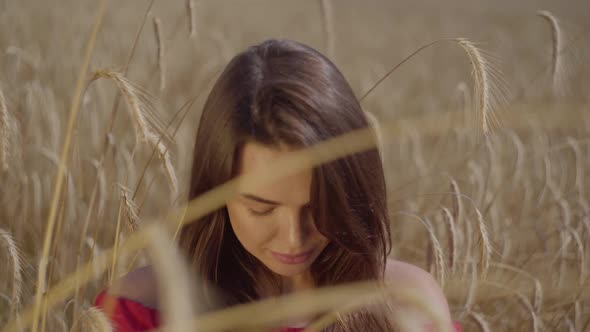 Portrait Beautiful Young Woman Enjoying Nature and Sunlight in Wheat Field at Incredible Colorful alt