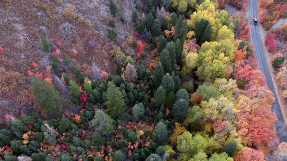 Aerial view of vehicle driving on road through colorful forest in Fall alt