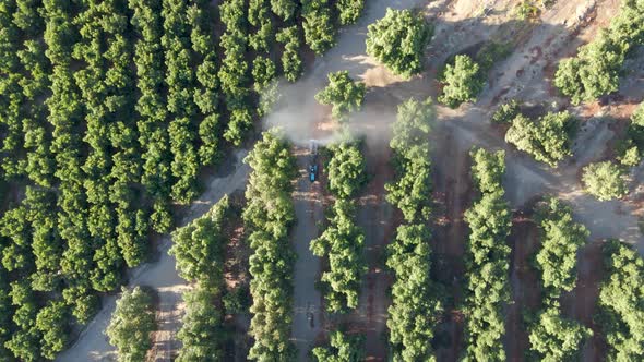 Aerial top down of a tractor spraying pesticides alongside waru waru avocado plantations in a farm f alt