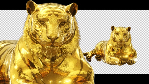 Lie Prone Gold Tiger