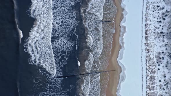 Cold Baltic sea and snowy beach at winter. alt