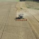 Combine Harvesting Field - VideoHive Item for Sale