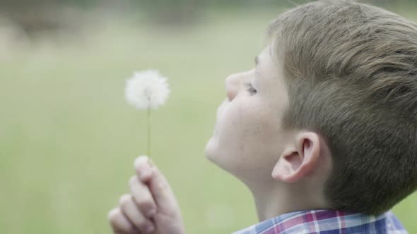 Boy blowing dandelion seedhead, slow motion alt