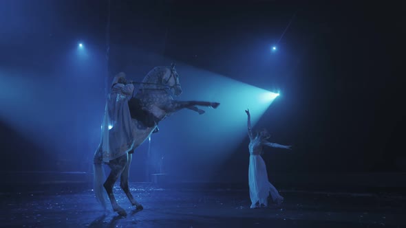 a girl in a white dress rears up a horse with a rider under beautiful lighting, a circus performance