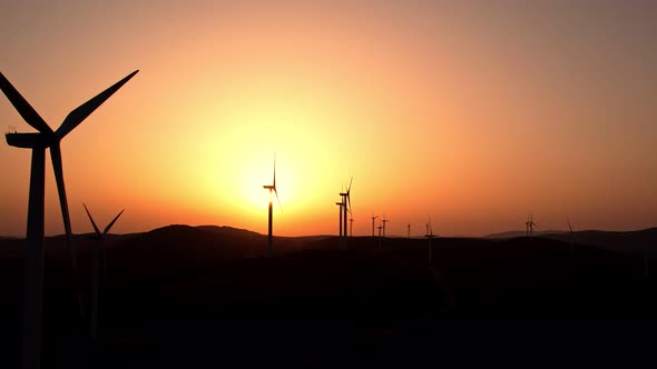 Windmills at The Sunset alt