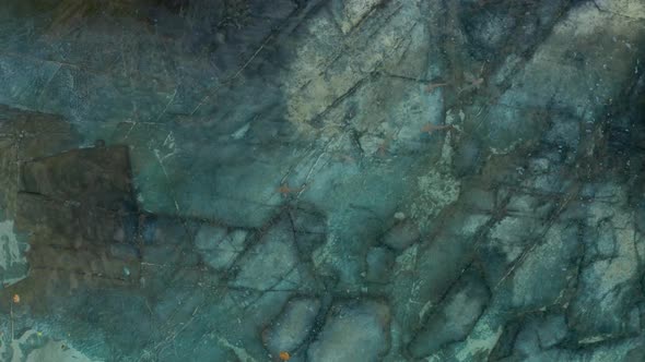 Above View of The Black Tip Sharks Swimming On The Clear Sea Water In Fiji - Aerial Shot alt