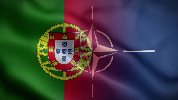Nato Portugal Flag Loop Background 4K