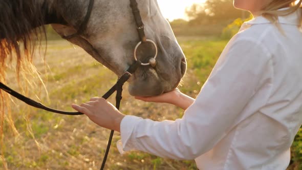 Woman Loves Her Gray Horse
