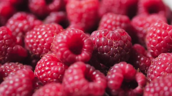 Fresh, Juicy Raspberry Background, Ripe alt