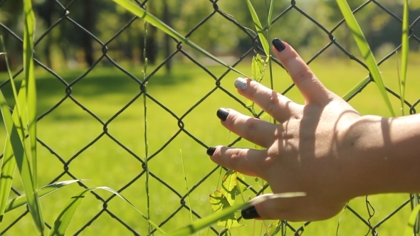 Feeling The Grass alt