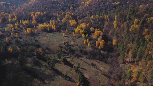 Aerial view of the Shiryaevsky ravine in the Samarskaya Luka national park.