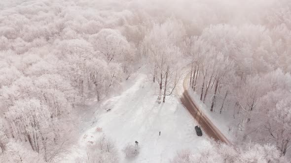 Slomo Aerial View Over Misty Winter Forest With Person Waiting  alt