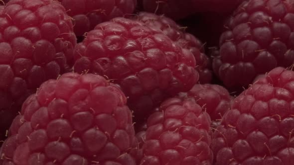 Close-up of ripe raspberries