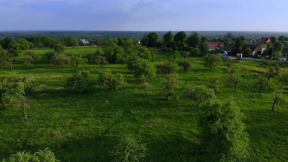 Aerial View of Green Summer Forest and Canyon at Sunset alt