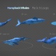 Humpback Whales - VideoHive Item for Sale