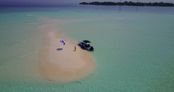 Wide angle flying copy space shot of a paradise sunny white sand beach and blue water background  alt