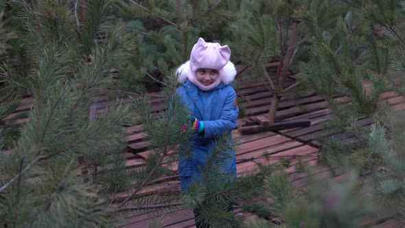 A Cute Little Girl in a Pine Forest in the Autumn Time