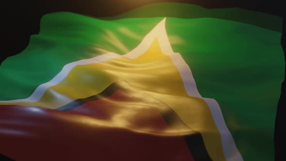 Guyana Flag Low Angle View