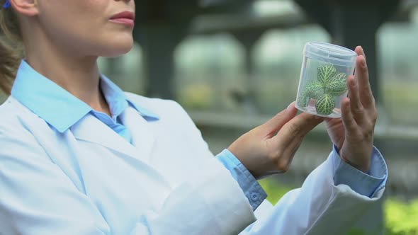 Ecologist in Uniform Looking at Plant Sample in Test Tube, Laboratory Research