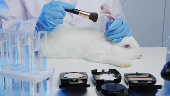 A Man in a Laboratory Tests Cosmetics on Rabbits alt