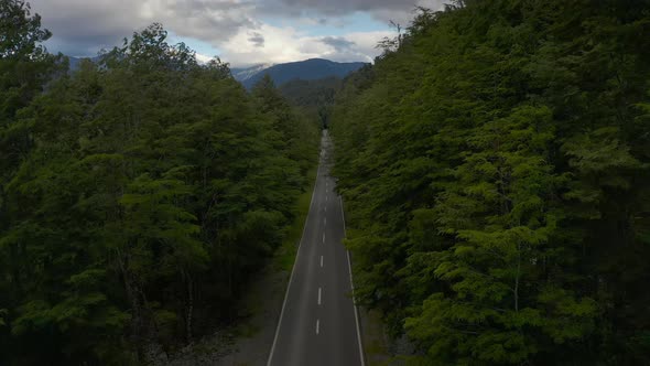 Aerial Road and Tall Forest, Puerto Varas, Chile, South America.