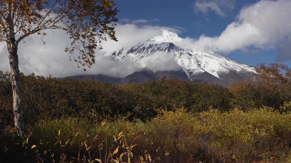 Beautiful Autumn Mountain Landscape View of Cone Volcano, Yellow-Orange Forest