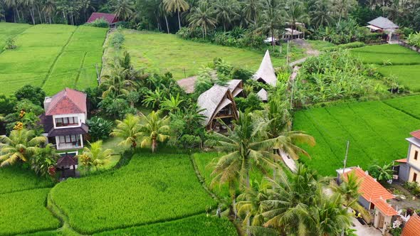 eco bamboo villa surrounded by a green rice field in Ubud Bali, aerial alt