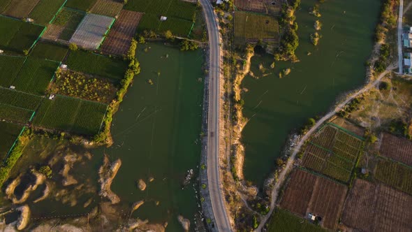 Asphalt road leading through farming land plots in Vietnam, aerial view alt