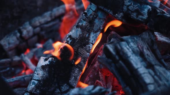 Smoldered logs in burnt fire. Dark firewood with light flame in slow motion. Close-up. alt
