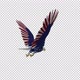 American Eagle - USA Flag - Flying Transition - V - 255