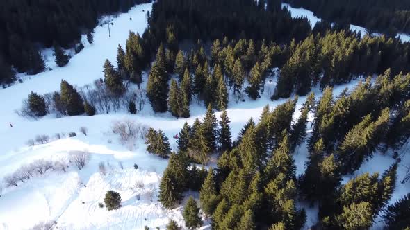 Aerial Winter Scene of Alpine Snowy Mountain Peaks and Dark Spruce Forest in Snow